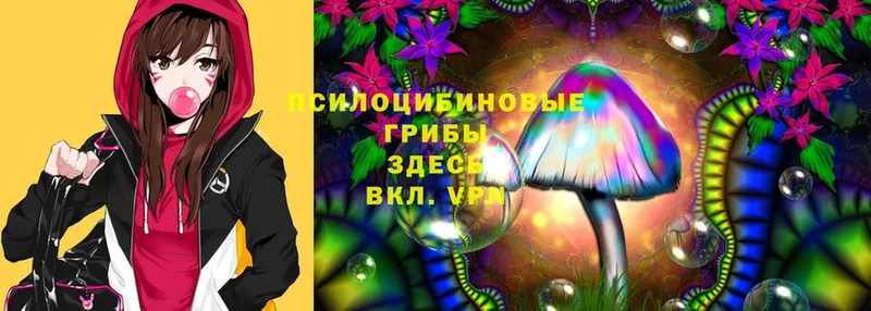 Галлюциногенные грибы Psilocybe  нарко площадка состав  Любань 